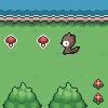 Woodland Adventure